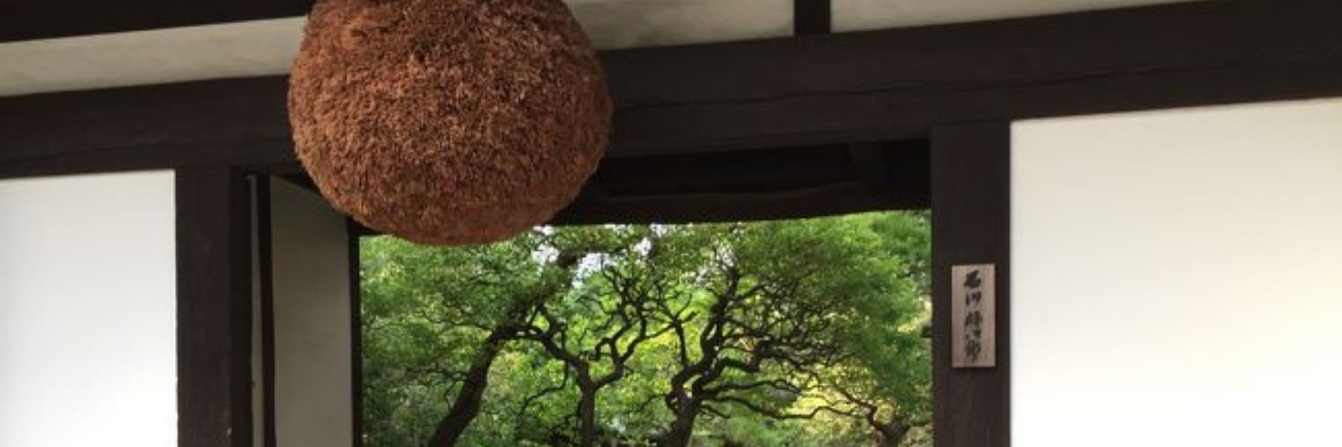 インタビュー